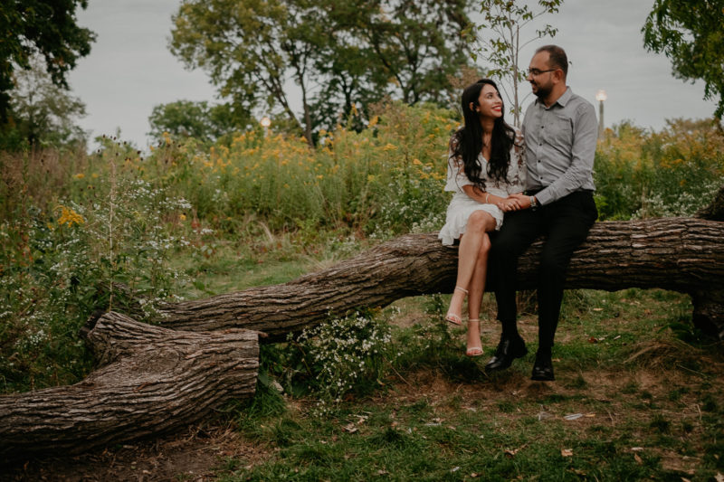An engaged couple sits on a log in a field, captured beautifully by Chicago engagement photographer Beloveful Photography
